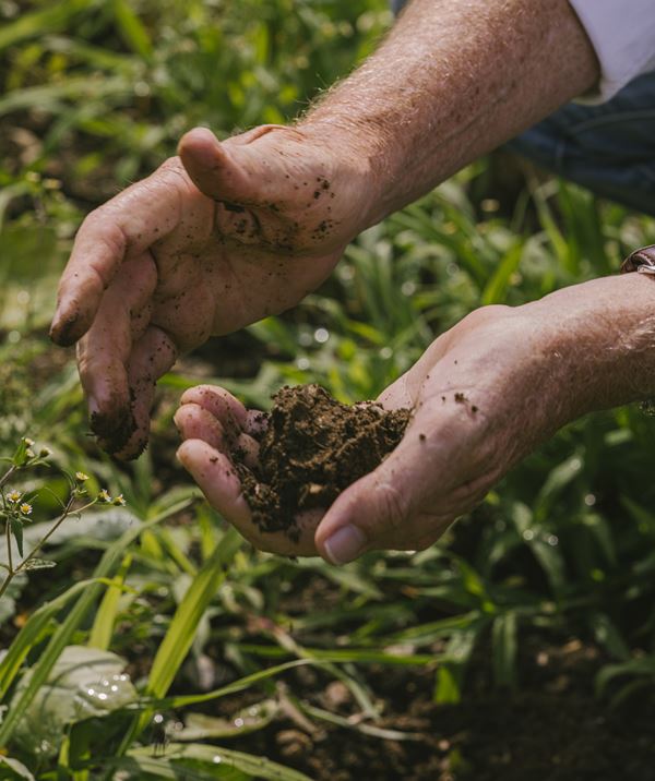 Upcoming Event - Forager Table