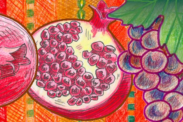 Upcoming Event - Pomegranate & Paella Party