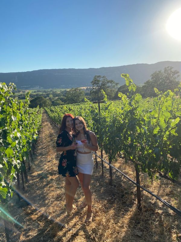 Upcoming Event - Harvest Tasting Experience