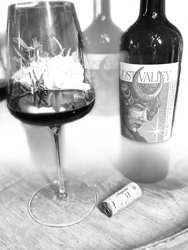 Upcoming Event - Wine + Art Release Party, Sashatattooing Studio, SF 