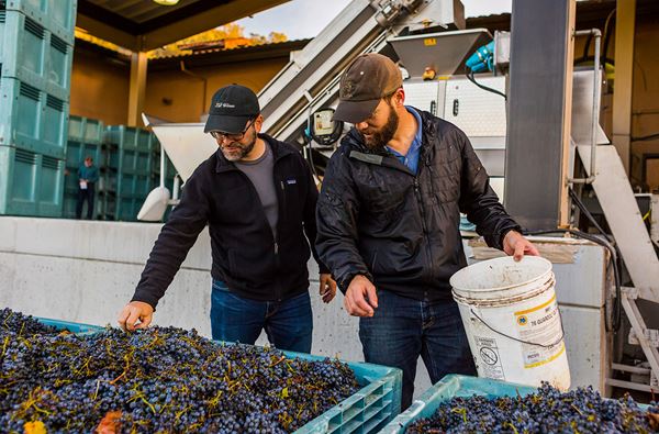 Upcoming Event - Winemaker's Boots Tour, Tasting & Luncheon at ZD Wines